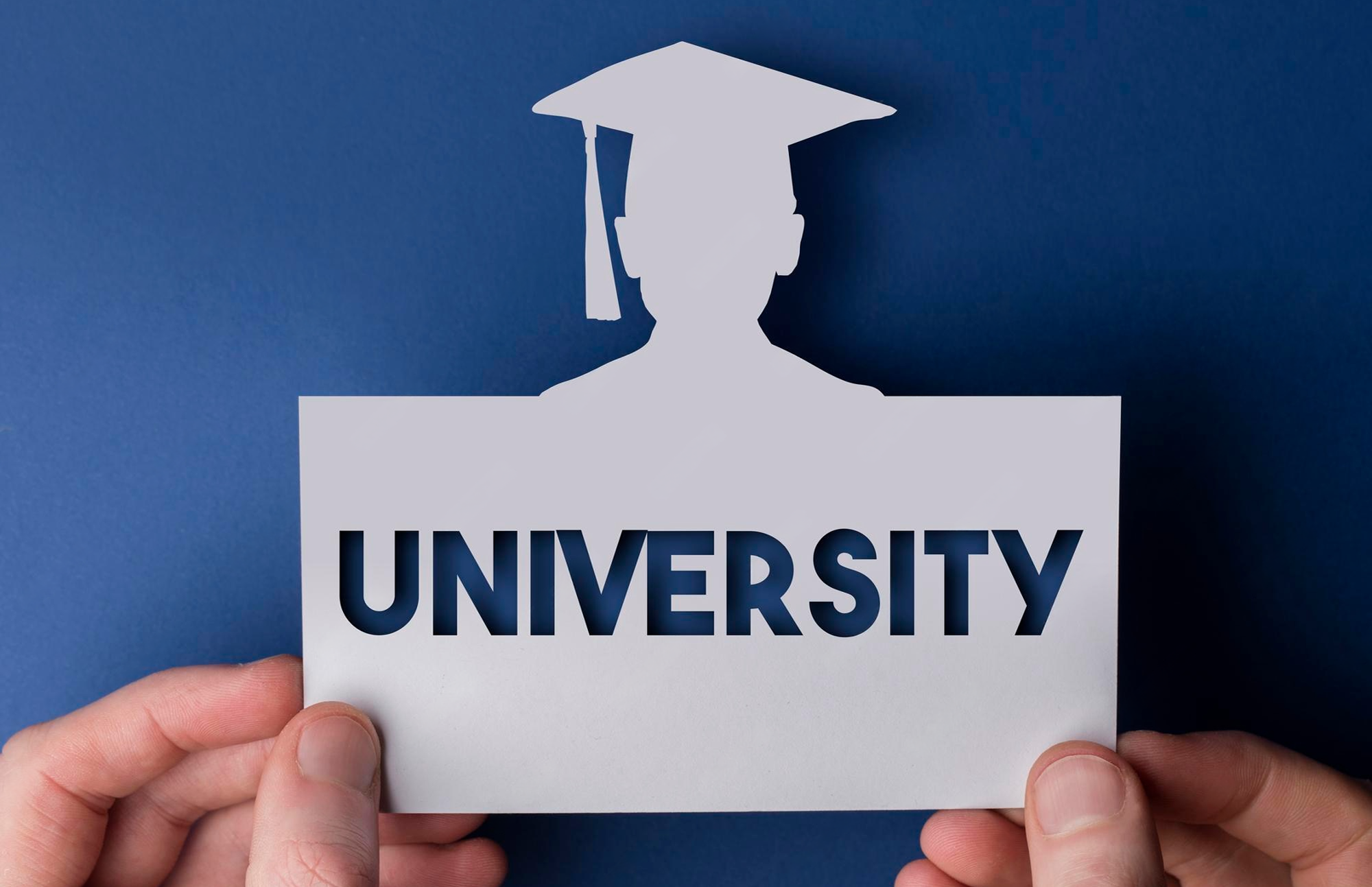 wmremove transformed (2)